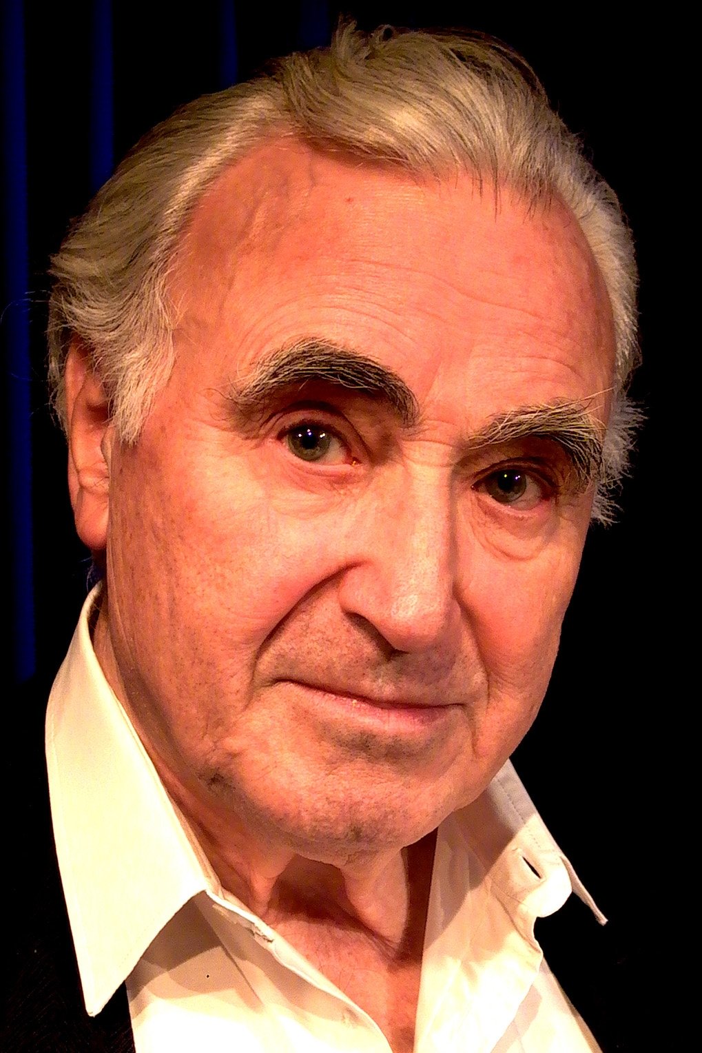 Karl Michael Vogler(卡尔·迈克尔·沃格勒)